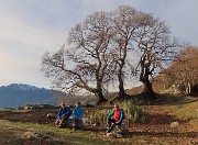 03 Ai Tre Faggi ormai in veste invernale, spogli delle foglie (1399 m)